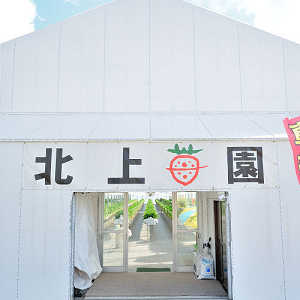 ハウス入口の写真