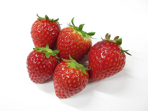 ほしうららの果実の写真