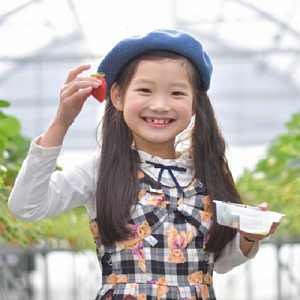 いちごを摘み取ってポーズを決める子供の写真