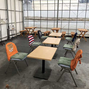 テーブル・ベンチの写真