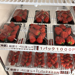 朝採りいちごの写真３