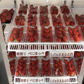 いちごパックの写真